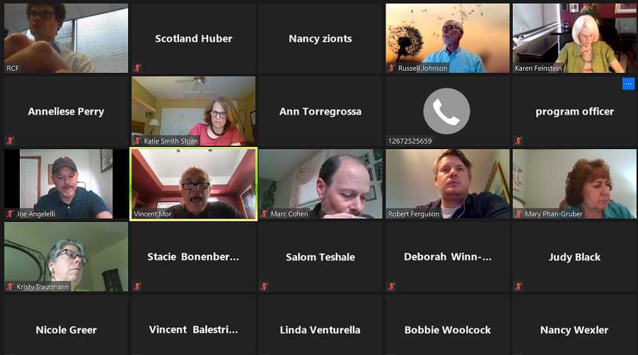 Some of the participants during the second webinar on May 28, 2020