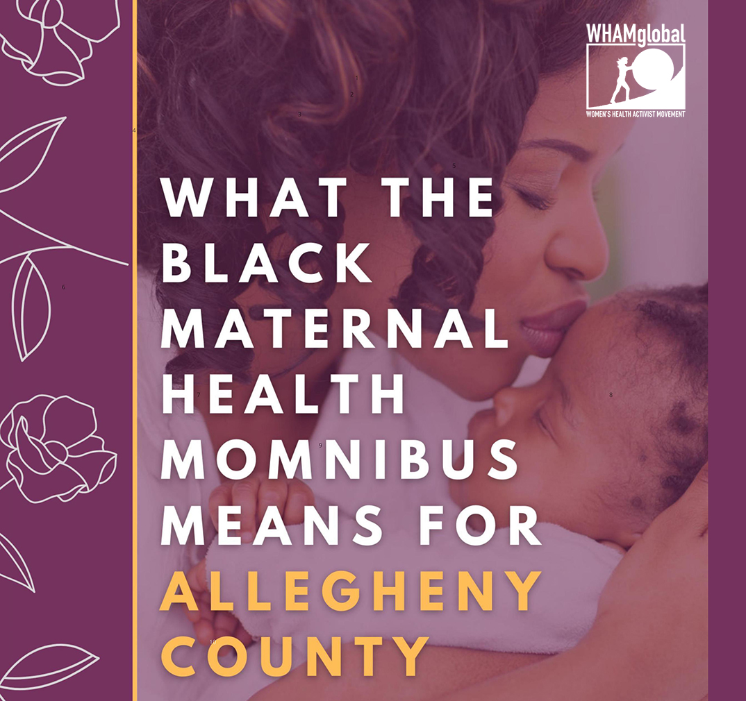 cover image for the Momnibus guide, with a title reading What the Black Maternal Health Momnibus Means For Allegheny County. The cover shows a Black mother kissing her baby on the forehead, and shows the Women's Health Activist Movement Global logo.