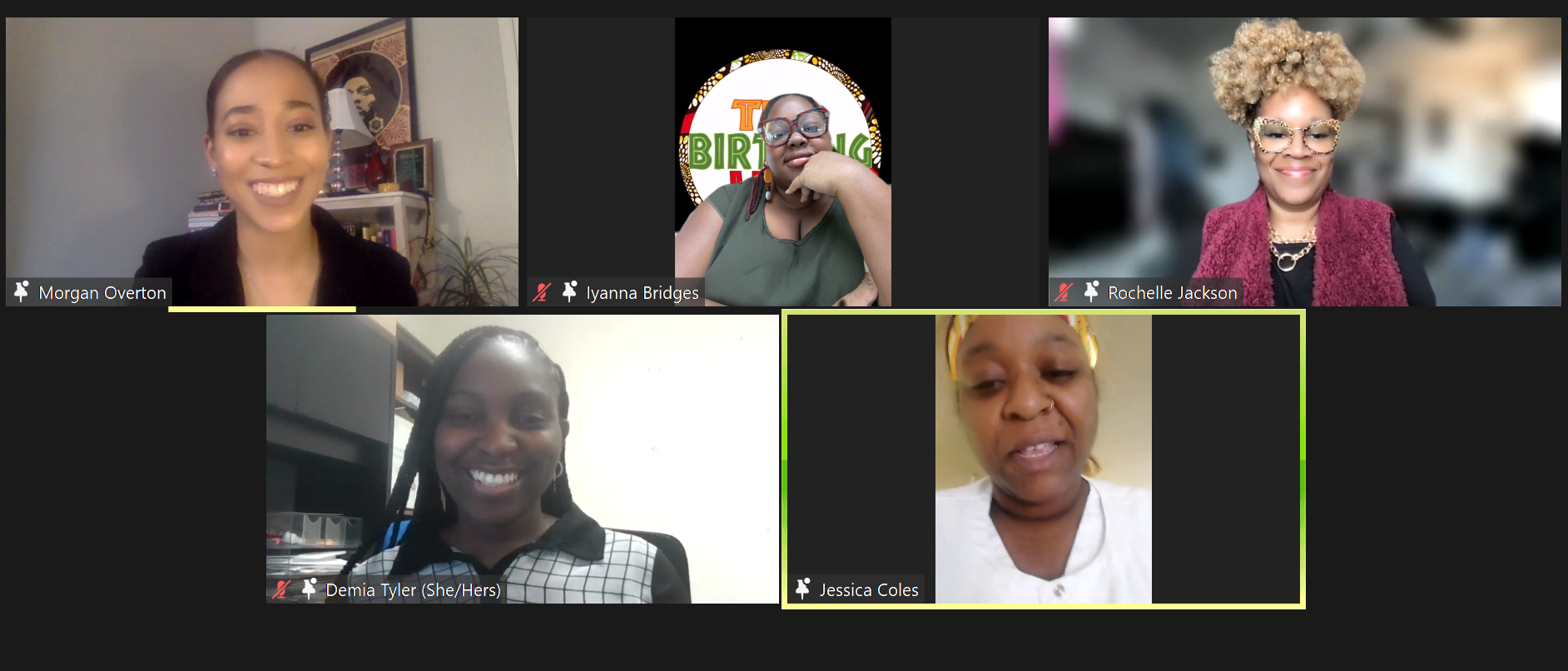 Birthing advocates joined the Opt In PA panel on Zoom