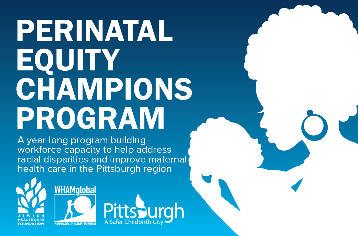 Perinatal Equity Champions Program flyer